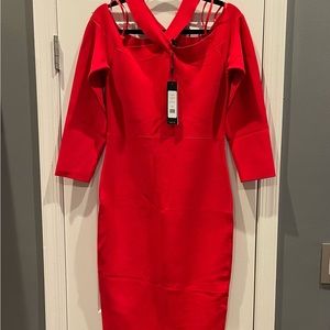BCBGMaxazaria NWT Bodycon Dress Large